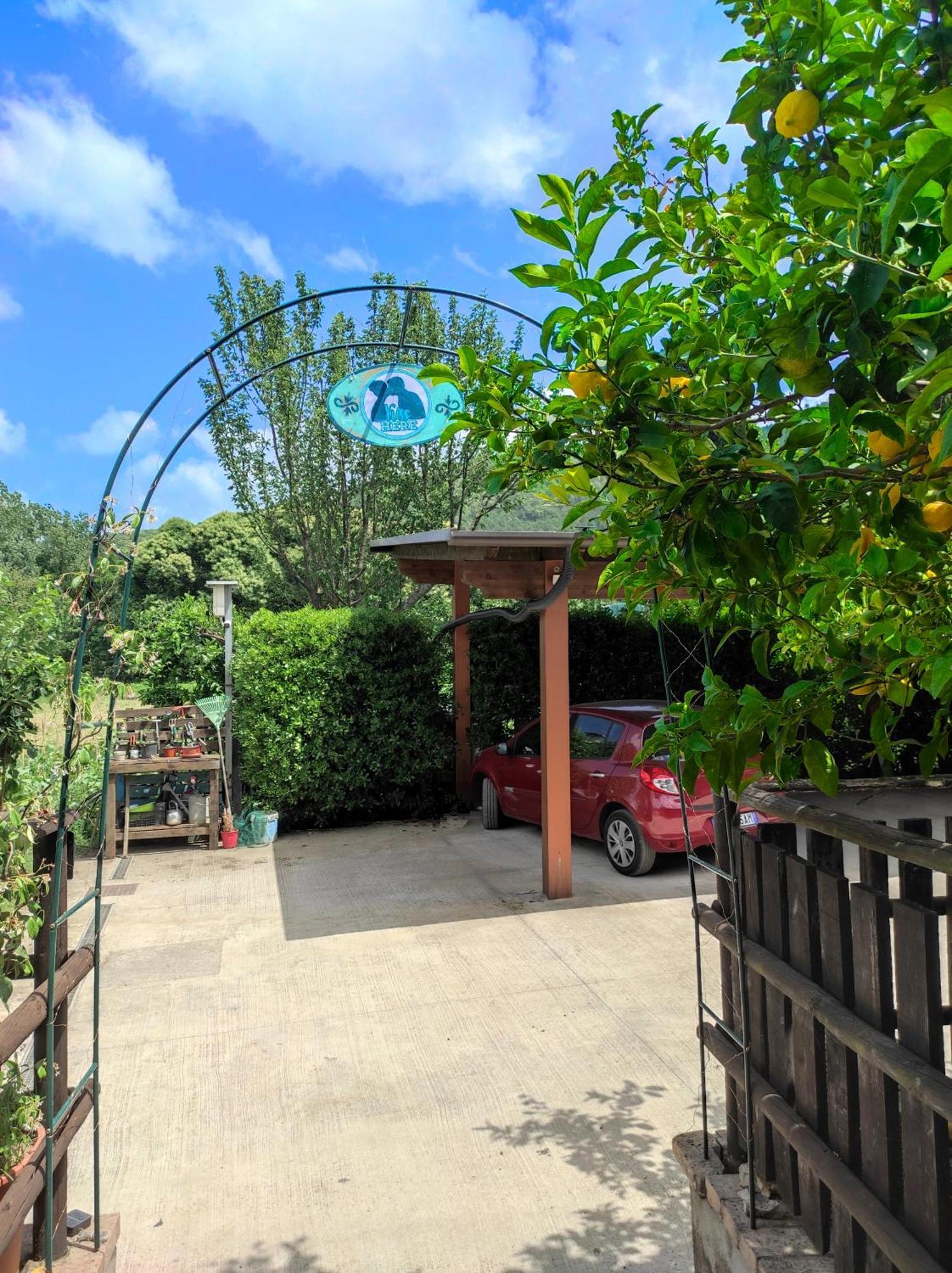 Caledonia B&B Mercato San Severino Exterior foto